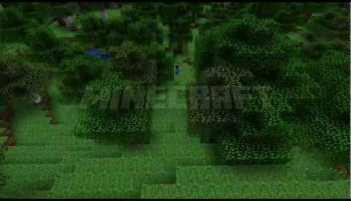 Minecraft - video